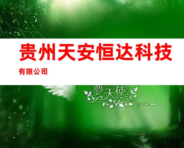 贵州天安恒达科技有限公司
